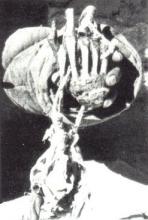Pangboche Hand (Source: Wikipedia)